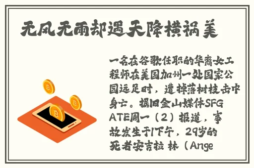 538在线在视观看视频